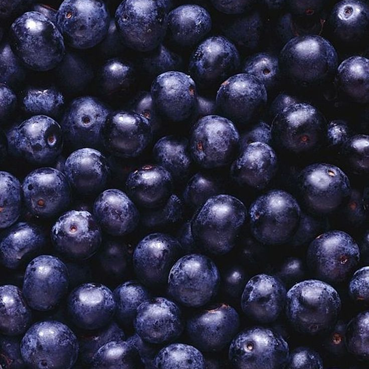 Baies violettes