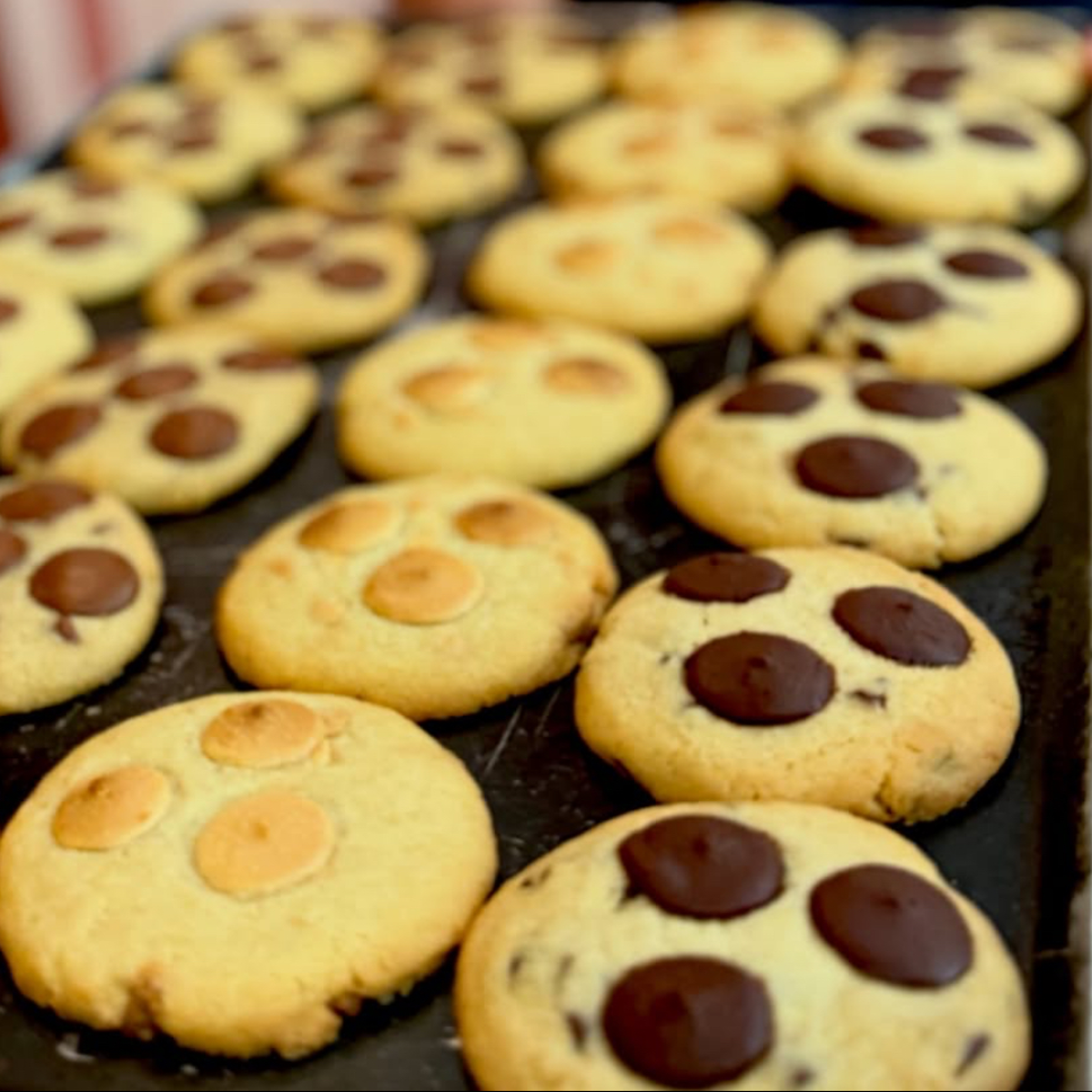 Plaque de cookies au chocolat noir, blanc et lait