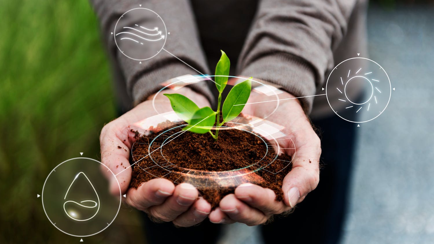 mão segurando uma muda de planta. Da planta saem ícones (artes) que representam a sustentabilidade