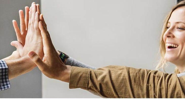 Licitaciones Públicas, ¿cómo generar una oferta ganadora?