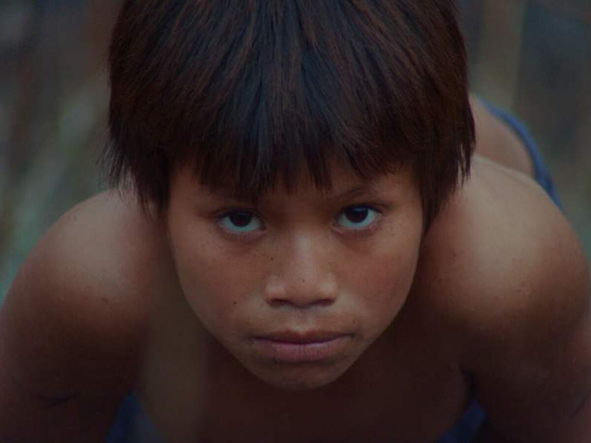 Produção pernambucana vence Melhor Filme e Contribuição Artística em um dos mais importantes festivais de documentário no mundo