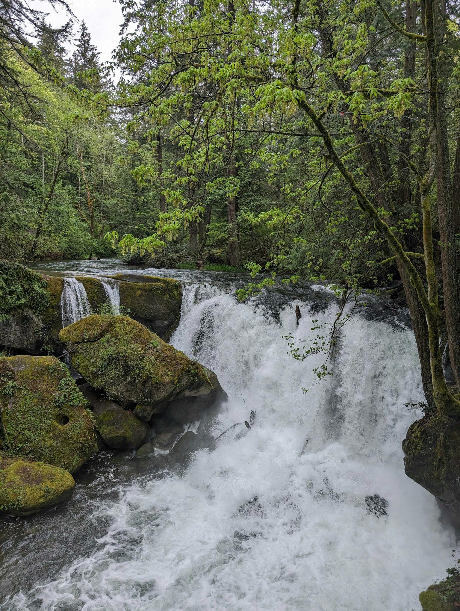 waterfall at Whatcom Falls Park