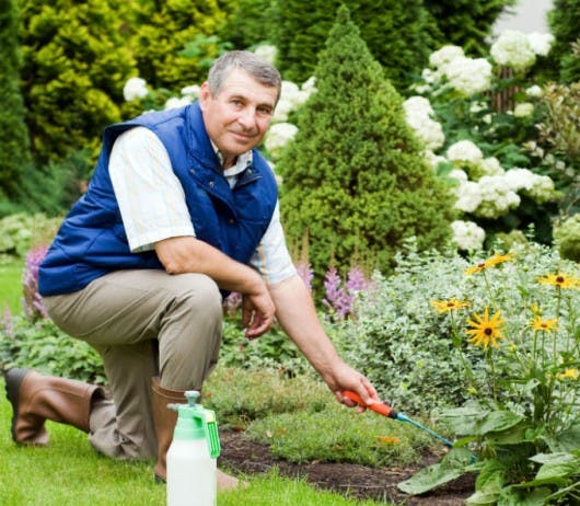 Jardinero