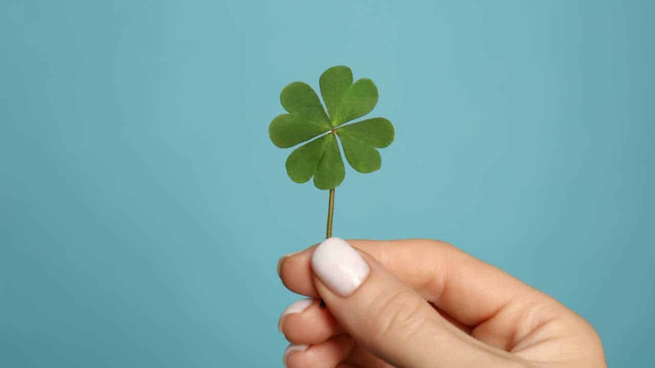 Hand holding a clover