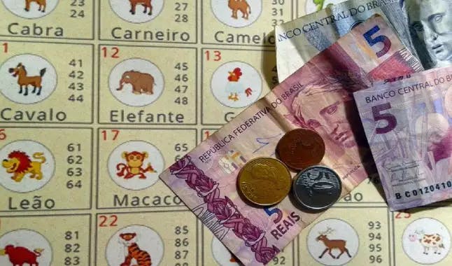 Jogo do Bicho card and money