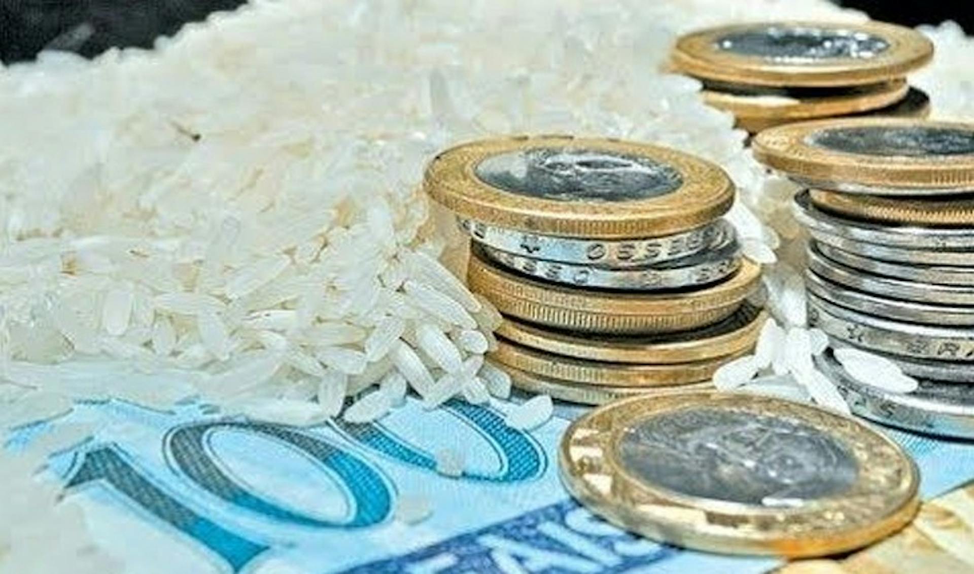 Arroz y Dinero