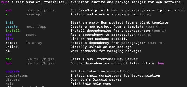 Informações úteis no terminal sobre o Bun