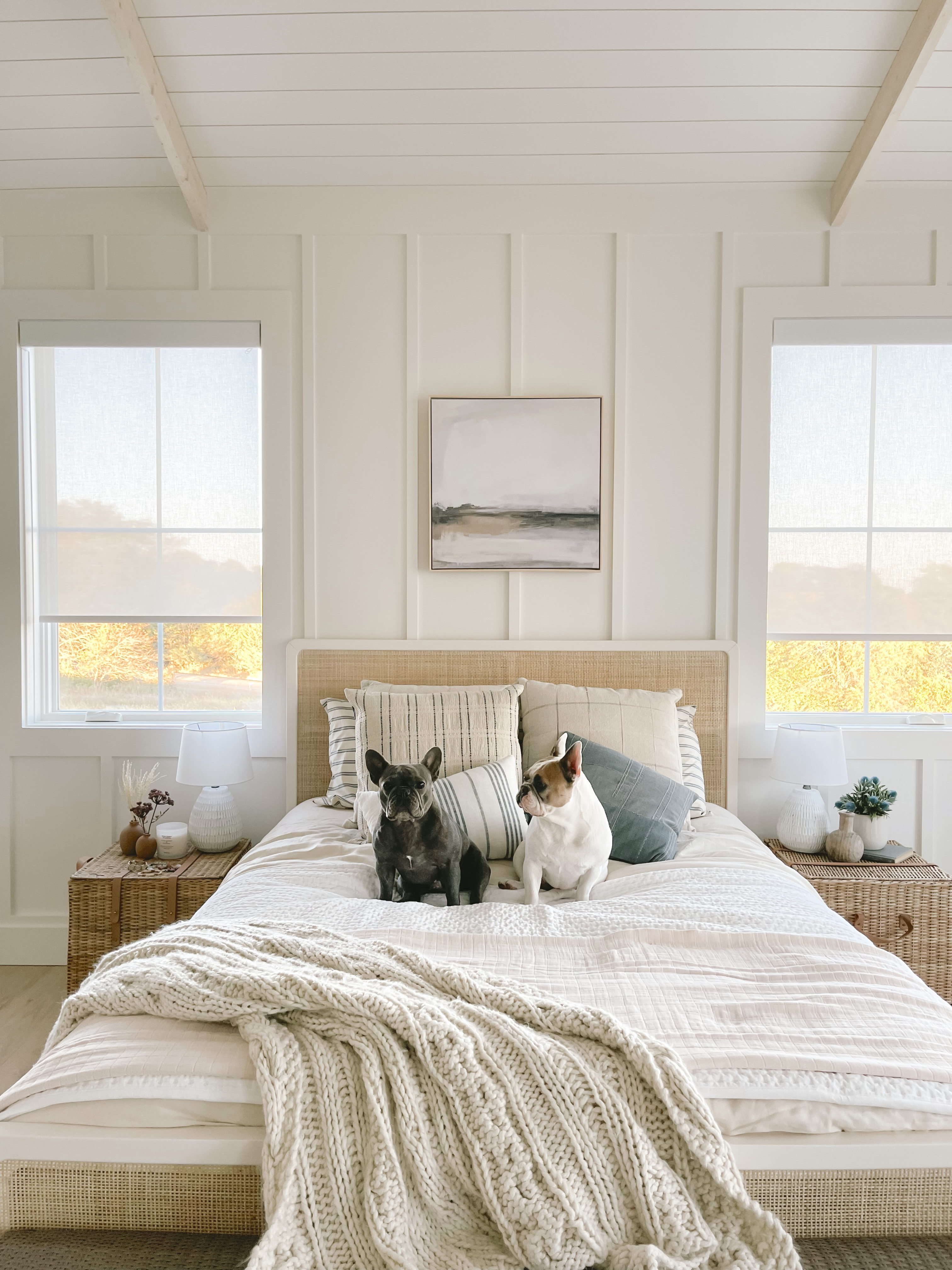 Nina's two dogs are sitting on her bed.