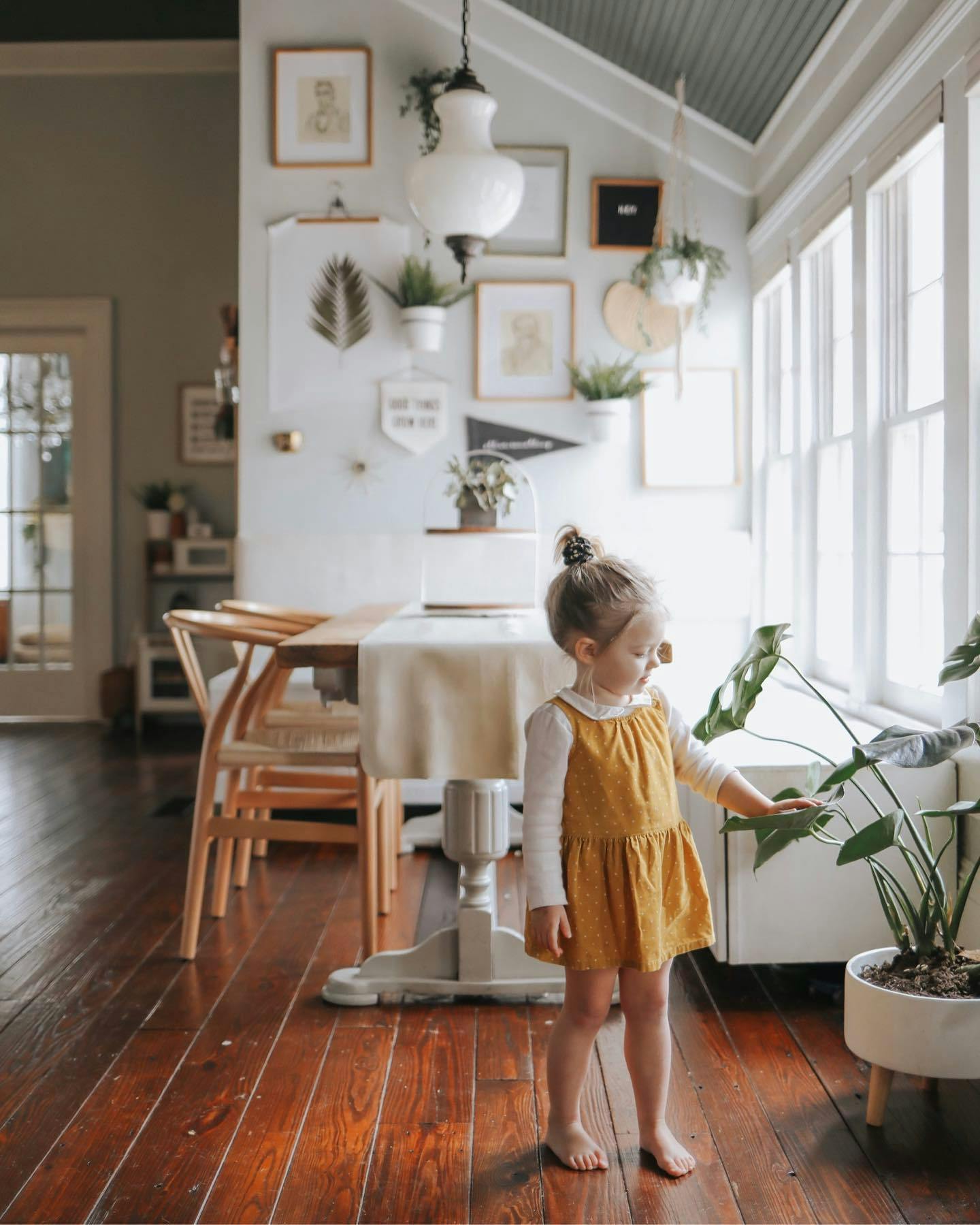 young girl caring for plant in dining room