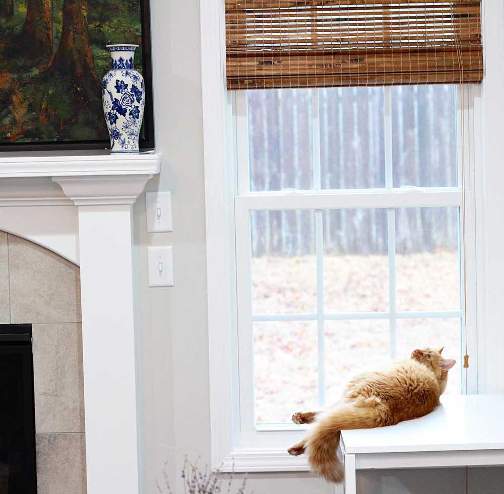 How to Keep Cats from Breaking Blinds The Blinds Blog