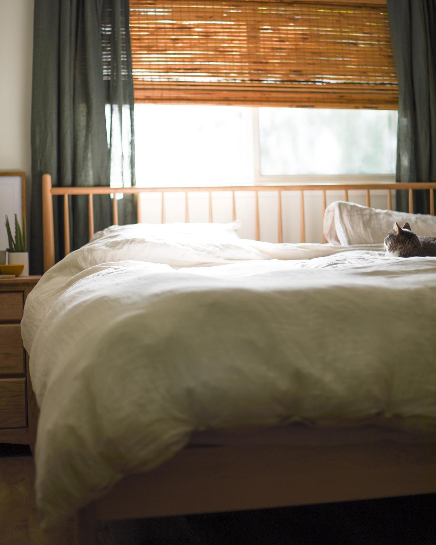a dimly lit bedroom with natural sunlight peeking through. cordless woven wood shades are on the window over the bed.