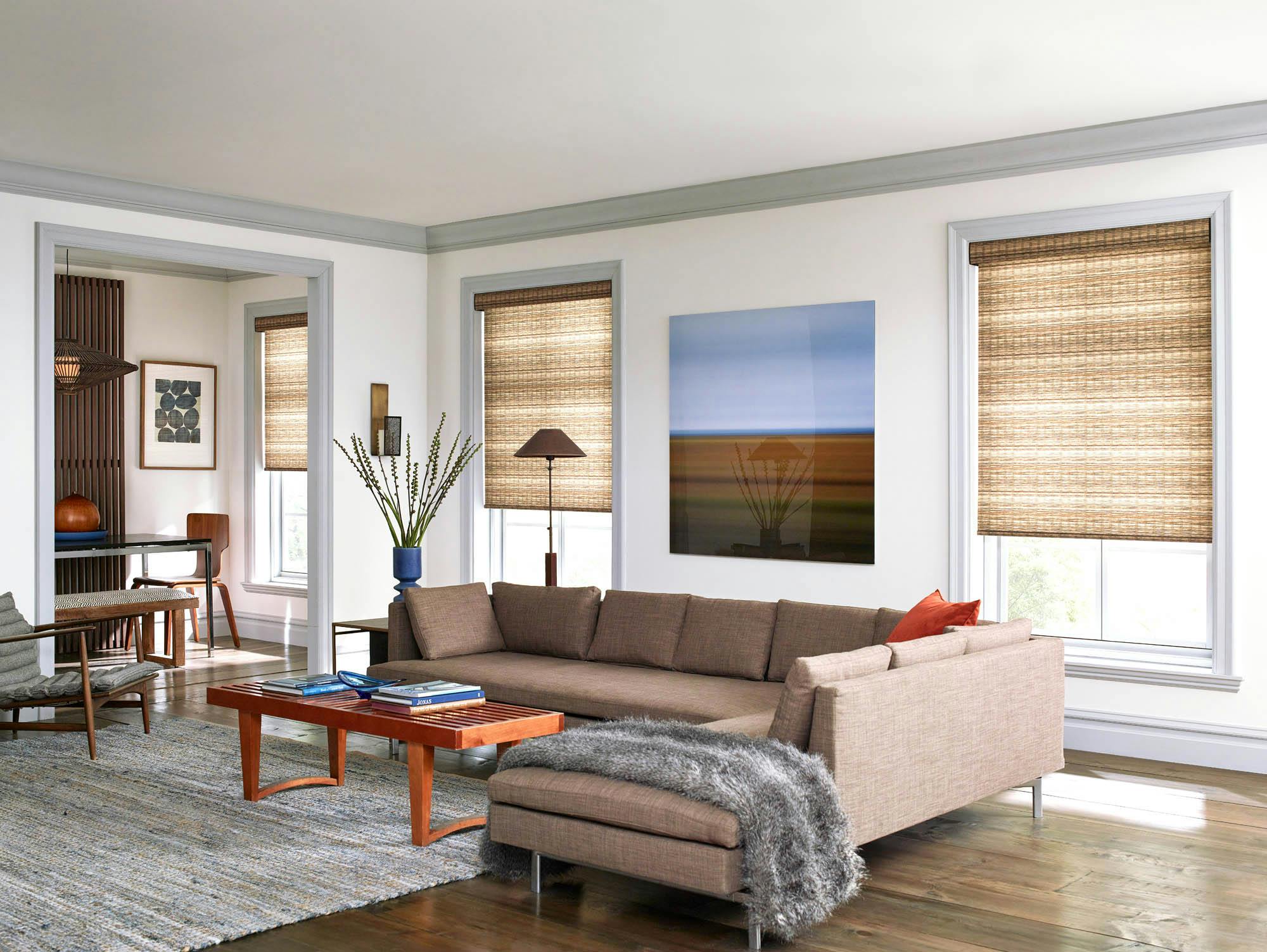 Here's Why SouthSeas Faux Woven Roller Shades Should be on Your Radar in  2022