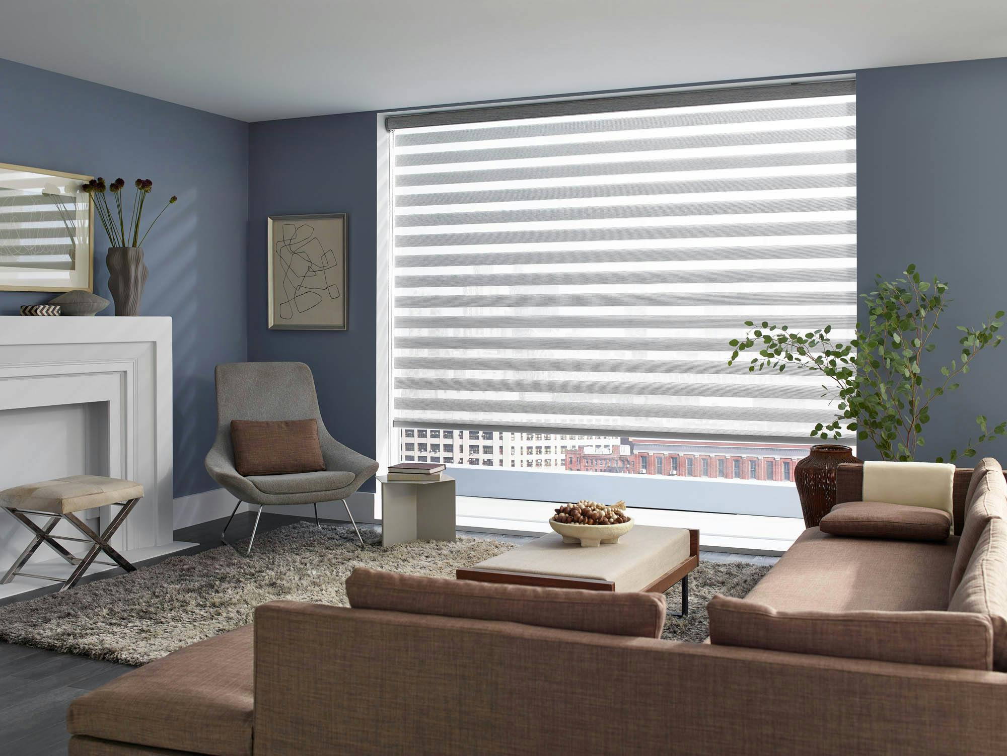 Large Window Shades, Skyline