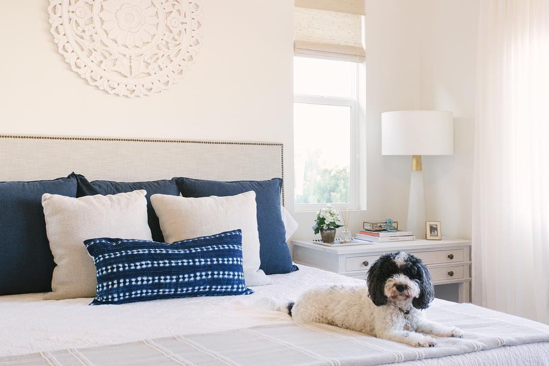 bedroom with white bedding and blue pillows. there is a dog sitting on the bed looking at the camera.