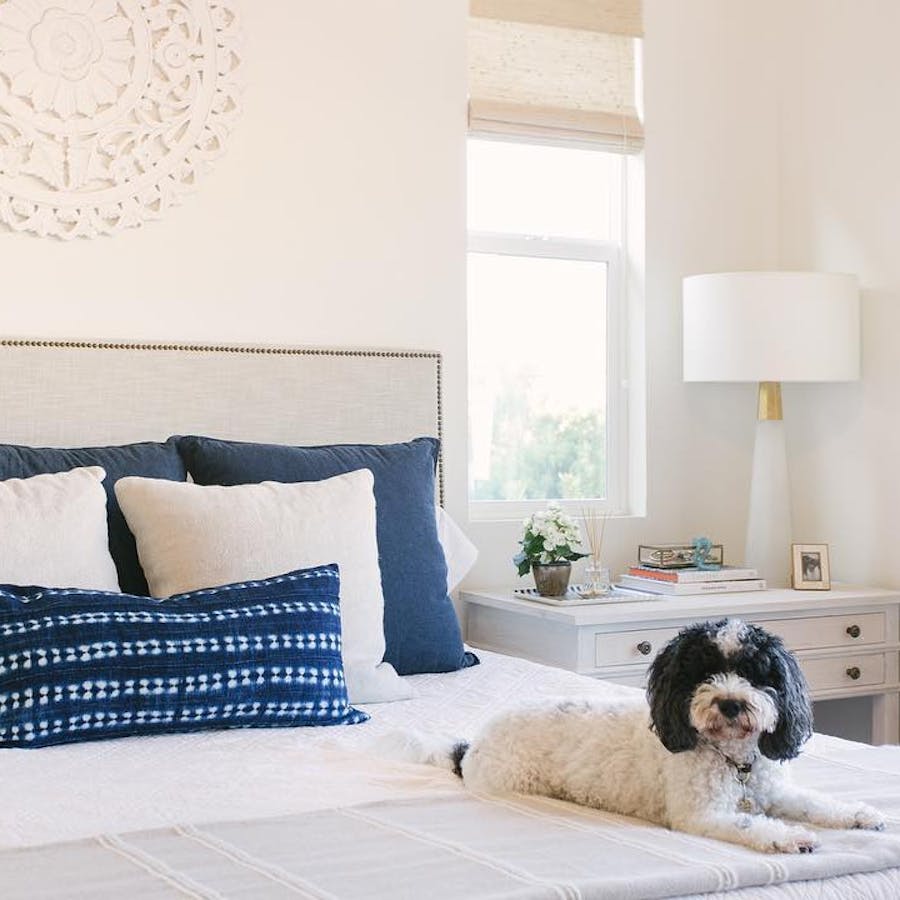 bedroom with white bedding and blue pillows. there is a dog sitting on the bed looking at the camera.
