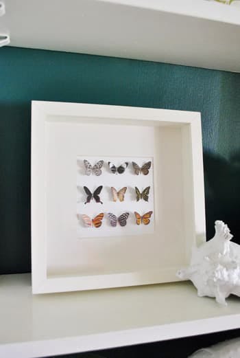 Butterfly Shadowbox on Shelf via Young House Love