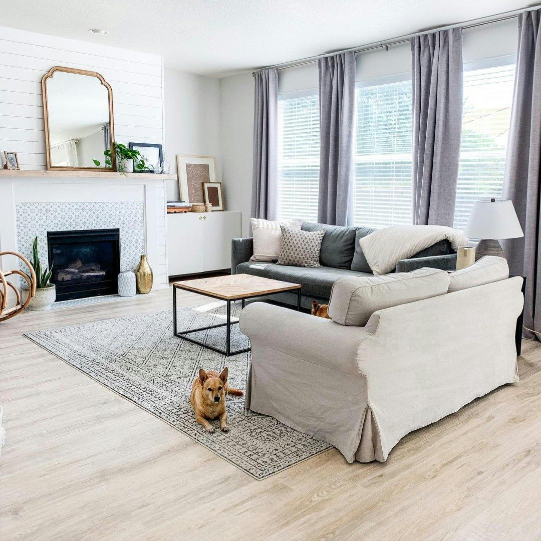 Dog sitting on living room floor