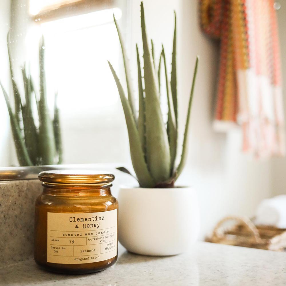 clementine and honey candle next to an aloe vera potted plant.