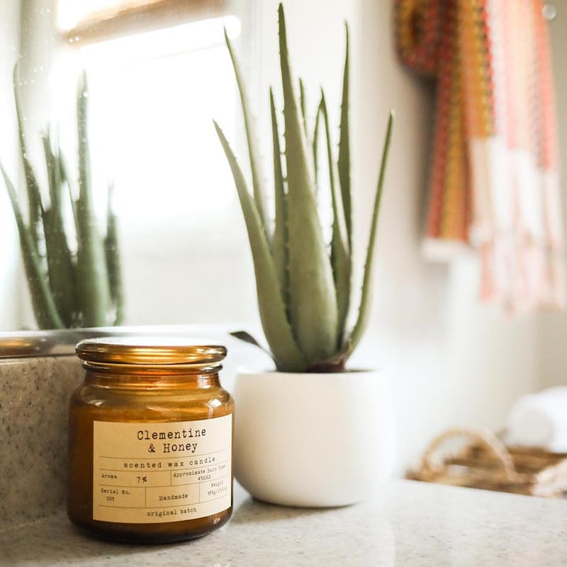 clementine and honey candle next to an aloe vera potted plant.