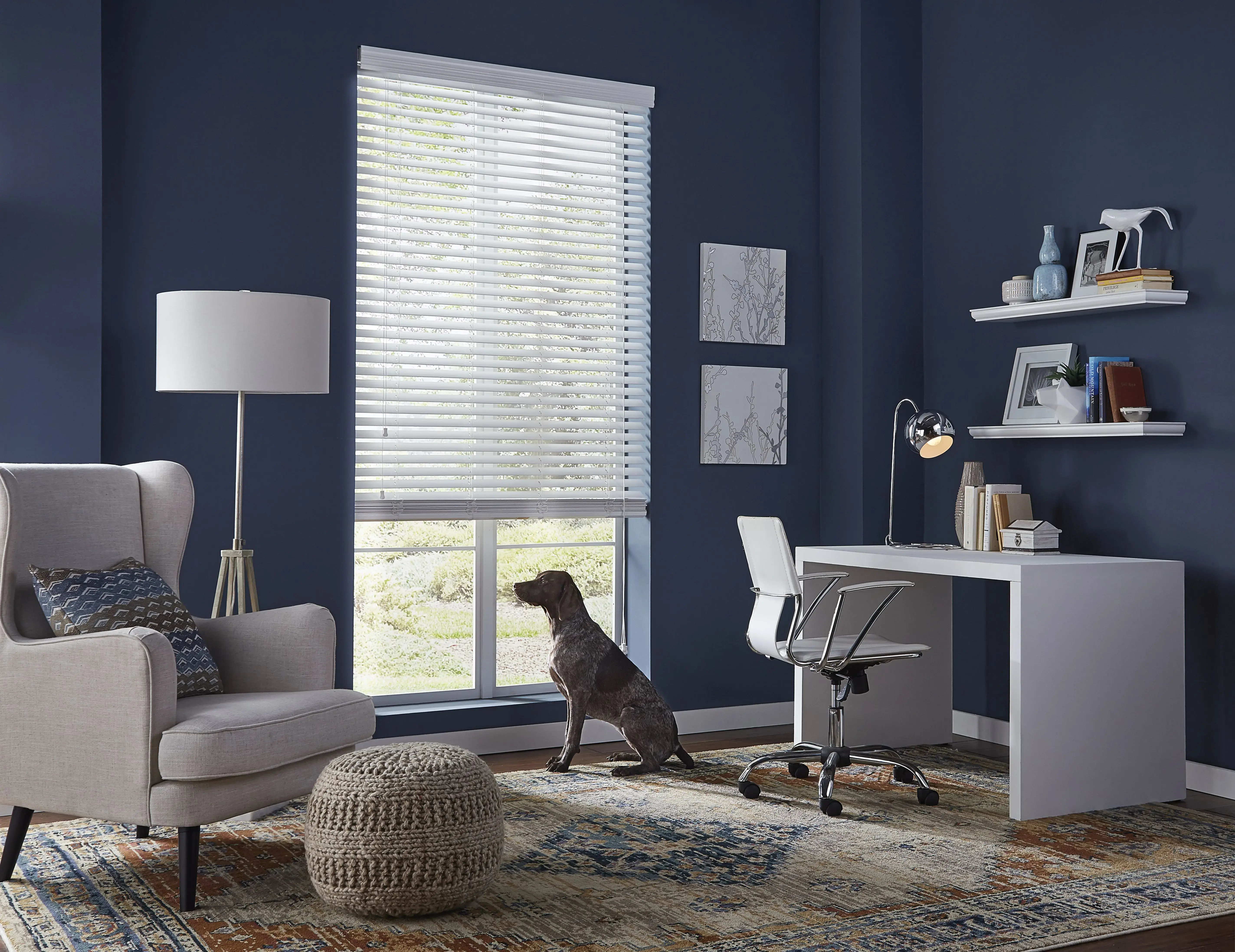 A blue office with white furniture. A dog looking out the window in an office. The is looking out a window with slightly raised faux wood blinds.