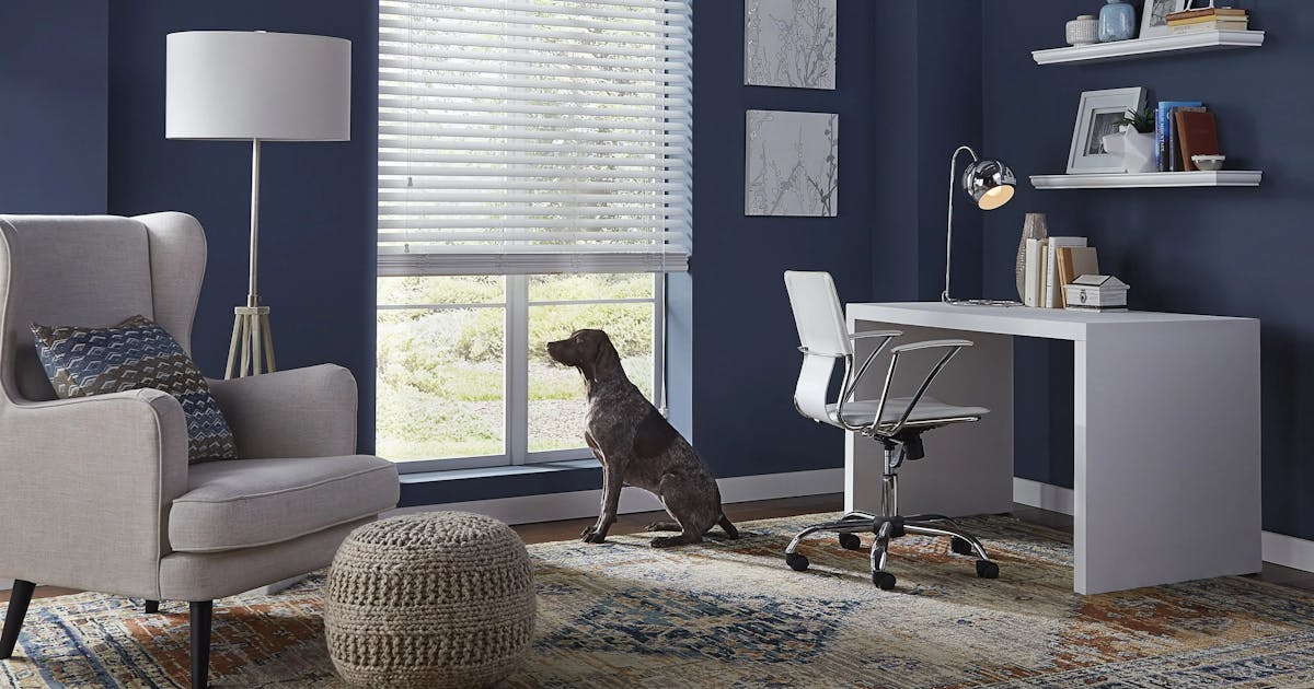 A blue office with white furniture. A dog looking out the window in an office. The is looking out a window with slightly raised faux wood blinds.