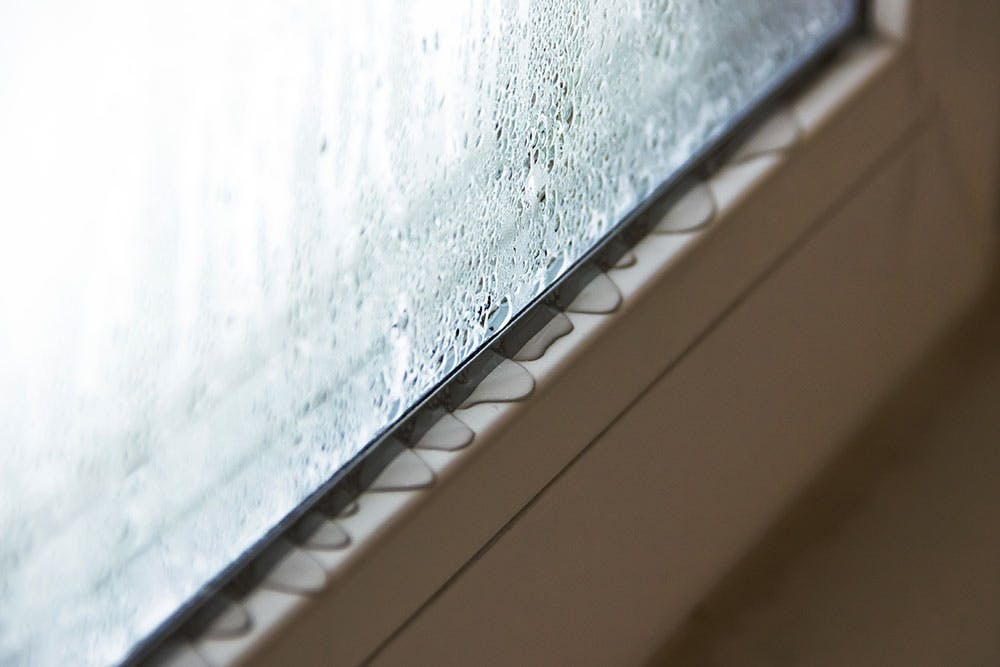 Condensation pools on a window ledge.