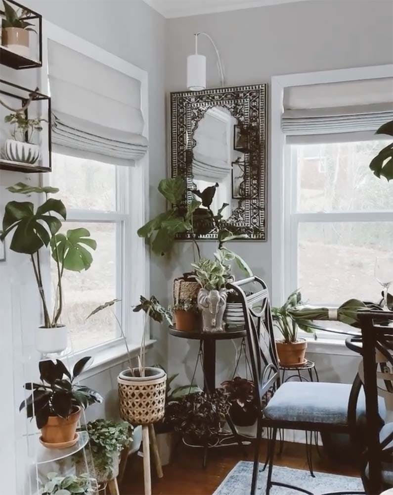 dining room corner filled with a variety of potted plants.