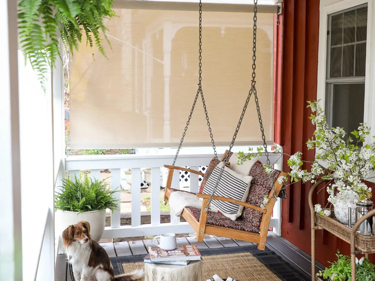 Outdoor patio with a patio swing, greenery, and roller shades.