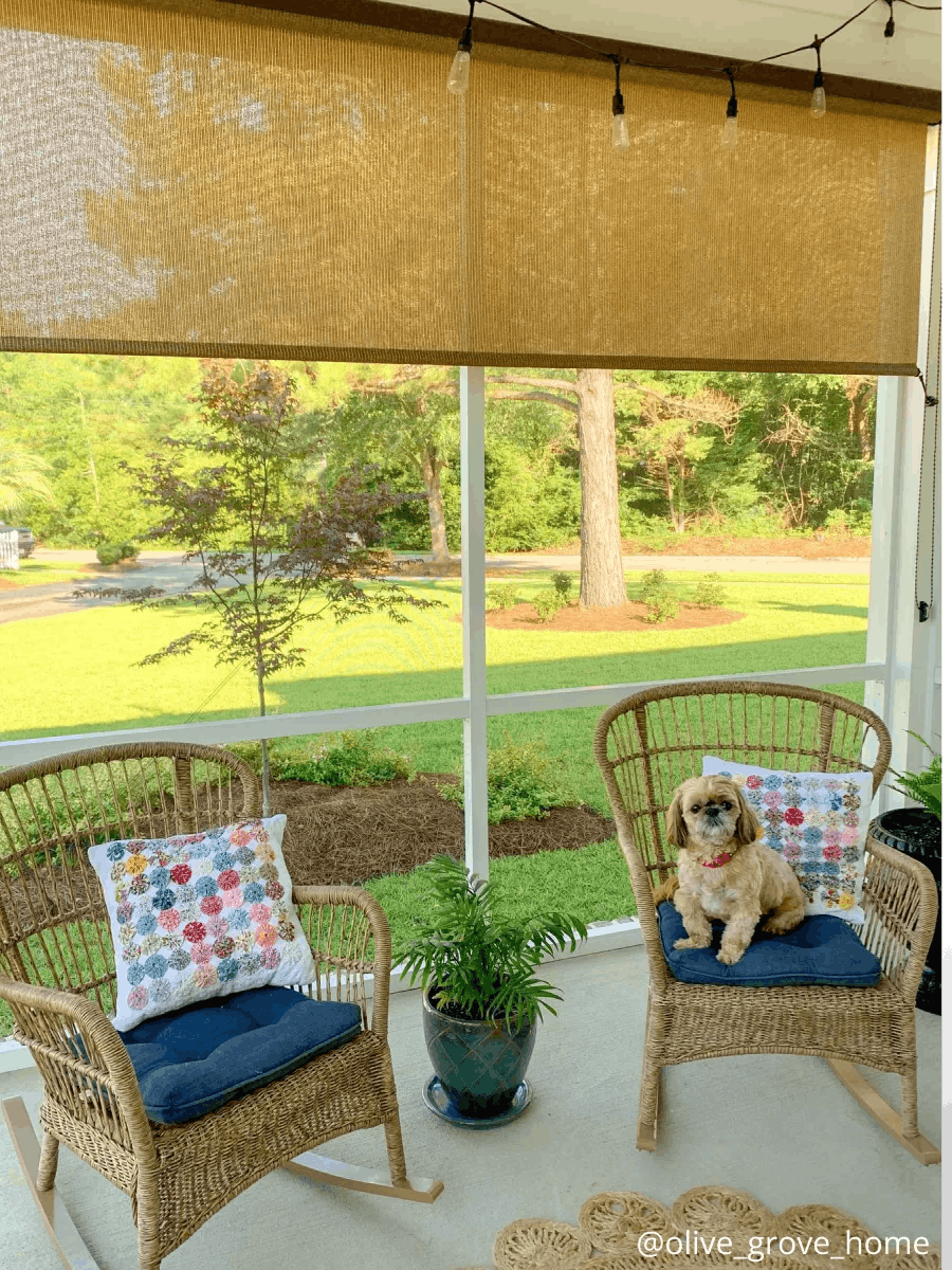 Outdoor space with two wicker chairs. The chairs have multicolored pillows. The right chair has a dog sitting on it. Hanging are two, brown outdoor solar shades.