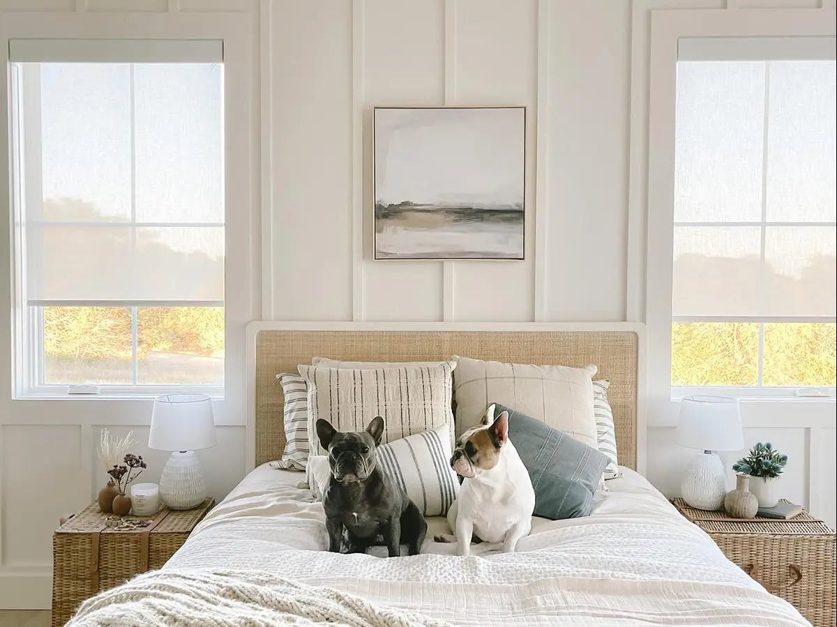 Bed with two dogs sitting on the covers. The bedding has white and light blue tones. On either side of the bed are wooden nightstands. Above the nightstands are windows with light-filtering roller shades.