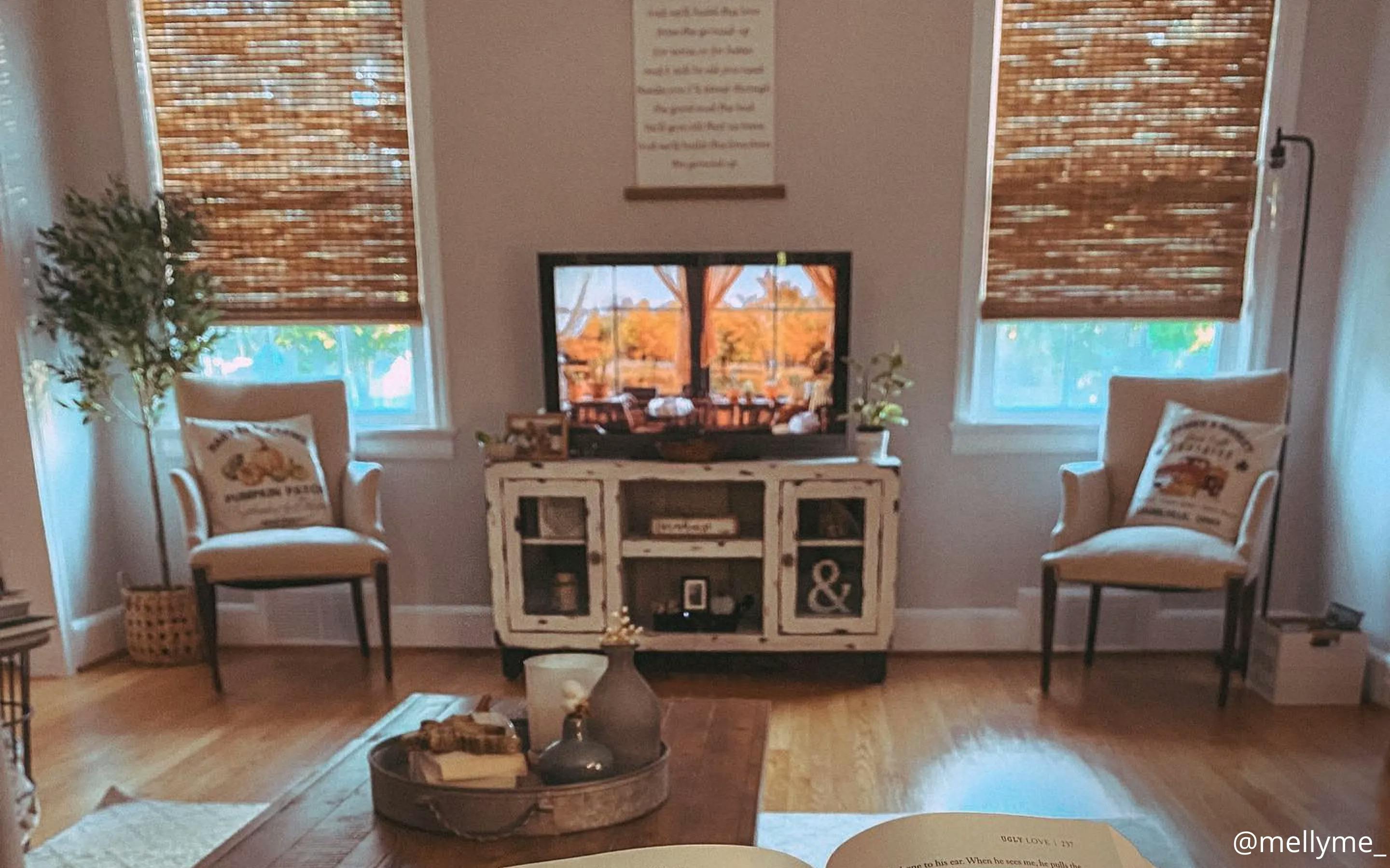 Living room with a tv centered on the wall. The tv is showing a view of a forest in the fall with orange leaves. On either side of the tv are windows with woven wood shades.