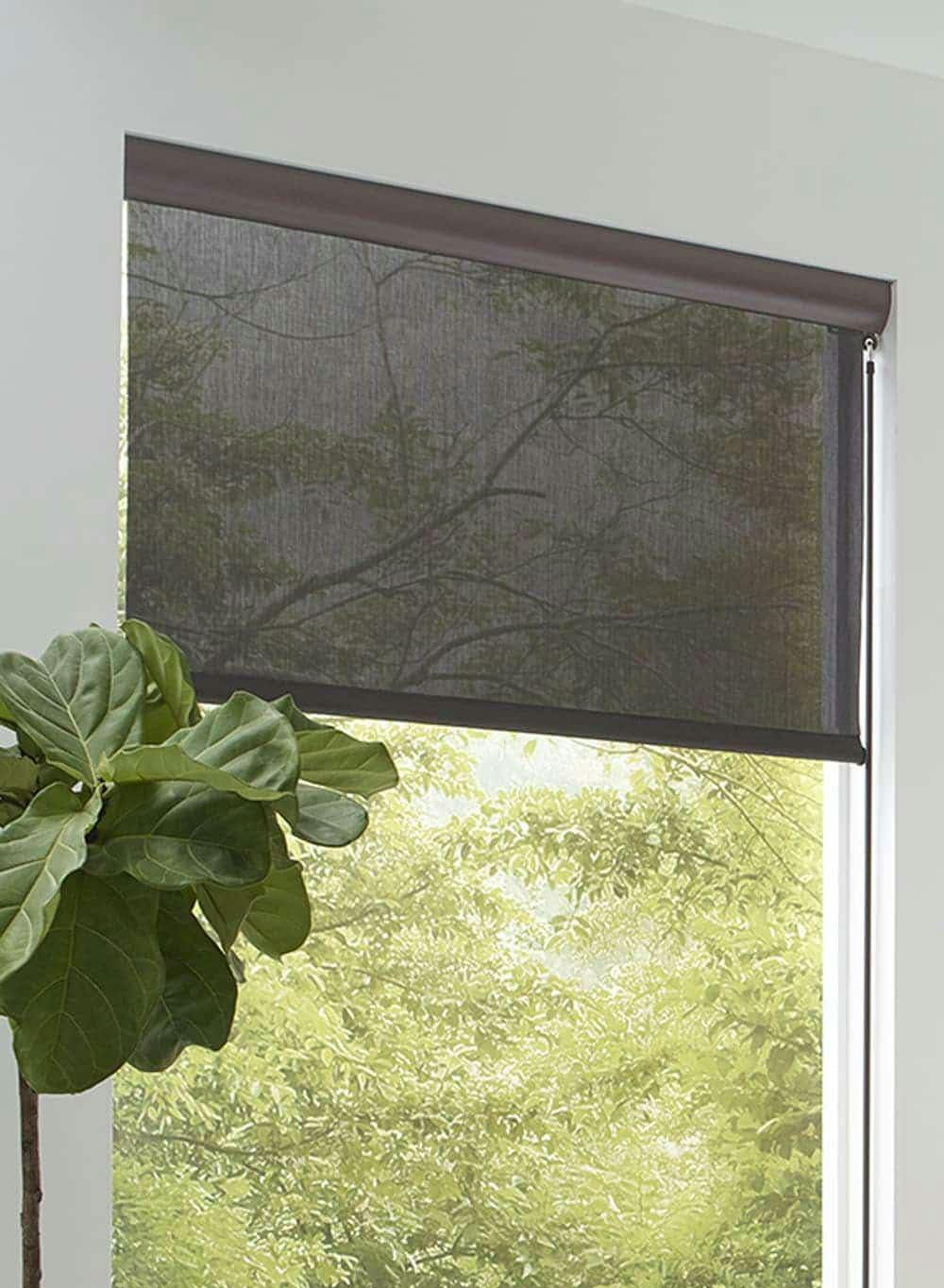 Are Outdoor Shades Right For You The Blinds Com Blog - Patio Roller Shades Outdoor Are Outdoor Shades Right For You The Blinds Com Blog - Patio Roller Shades Outdoor