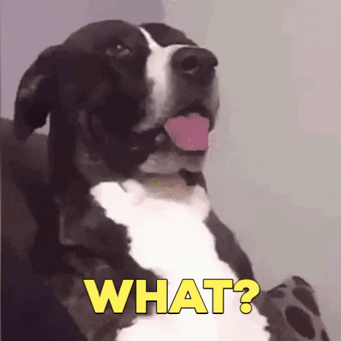 gif what