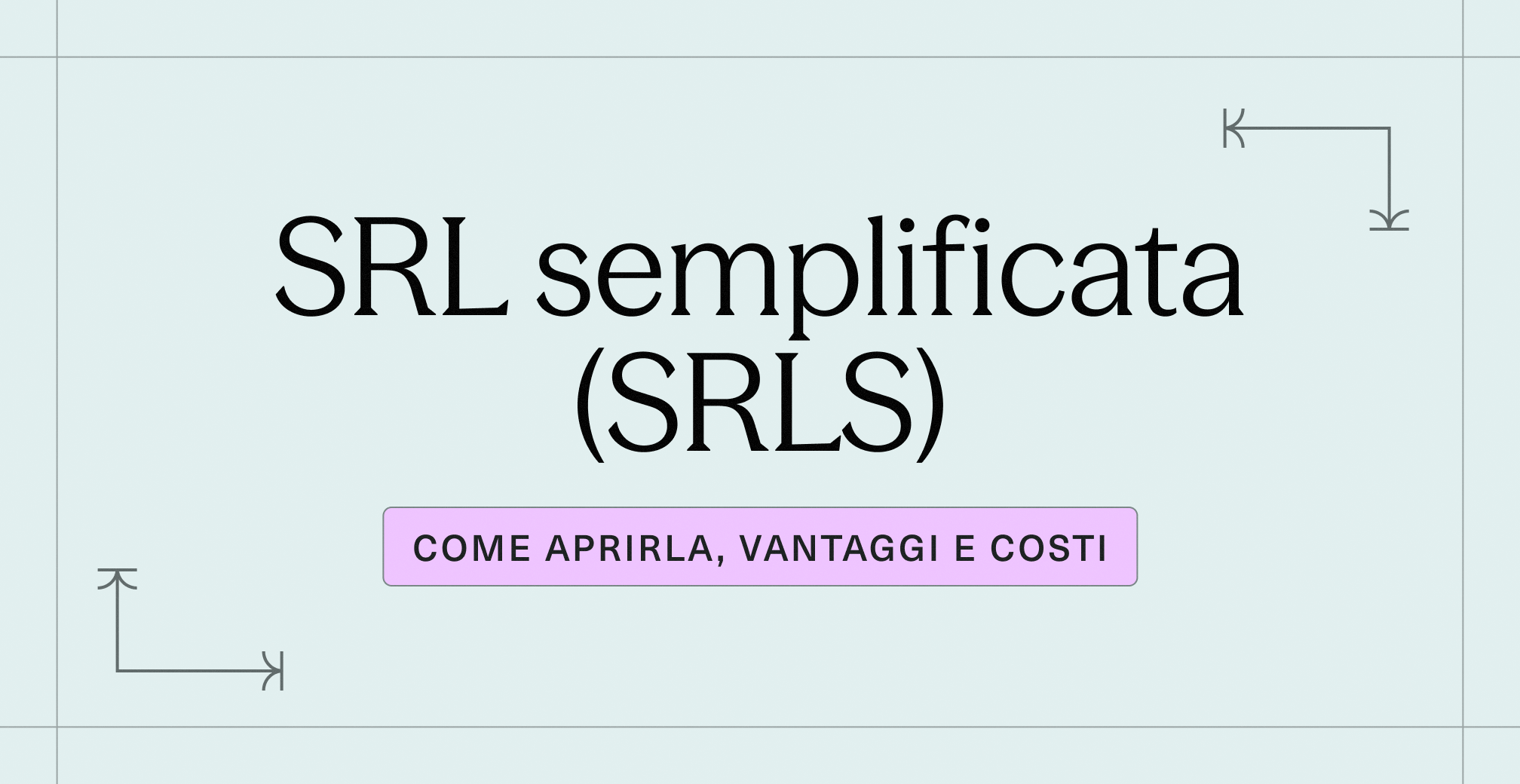 SRL semplificata