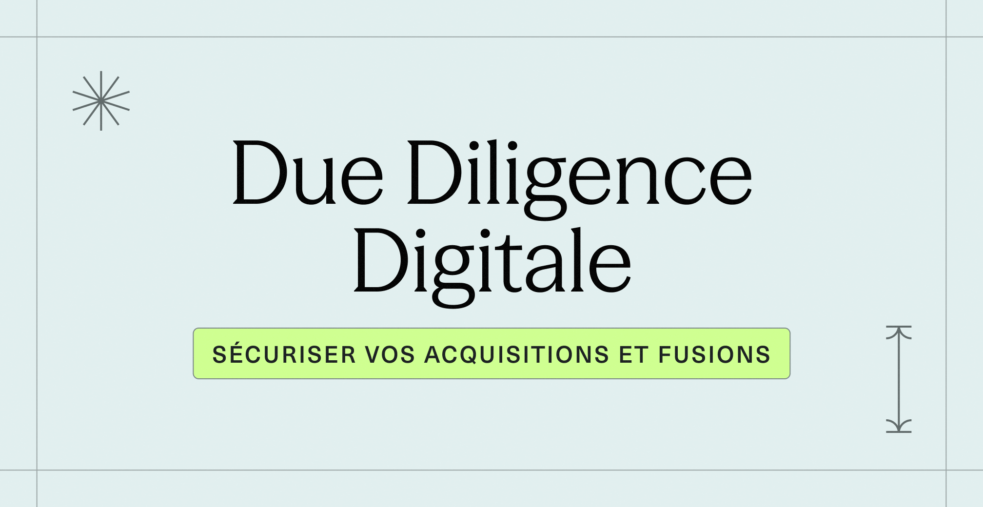 Due Diligence Digitale