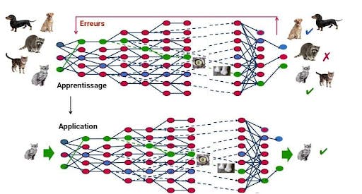 Comment le deep learning, à partir de photos, peut identifier un chat.