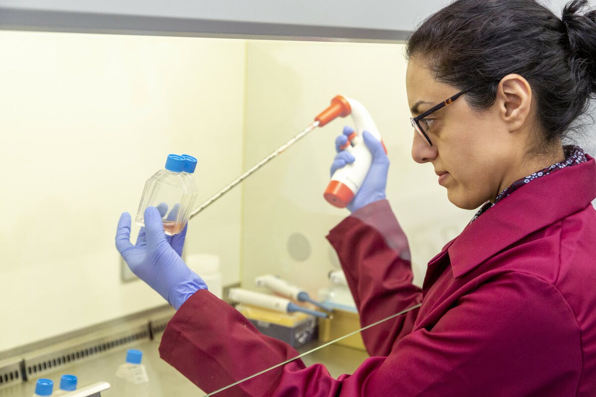 A researcher doing an experiment in the lab wearing a burgundy lab coat and blue gloves
