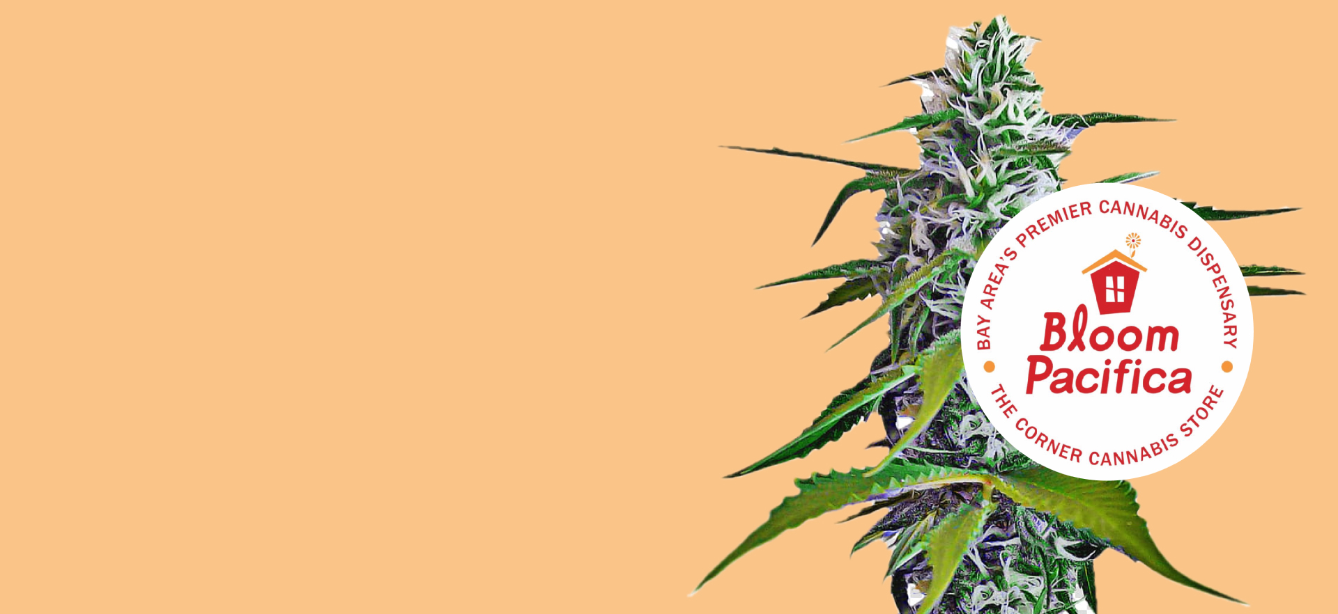 Top Marijuana Dispensary!