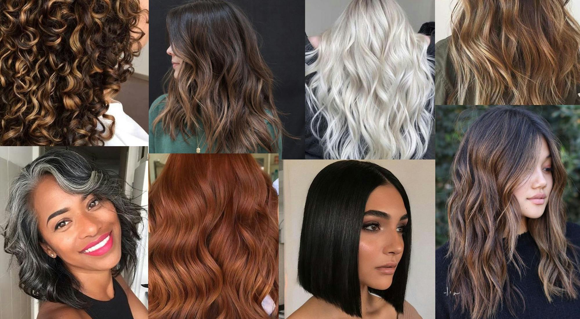 Which hair colour service is right for you? | blow LTD Which hair colour service is right for you? | blow LTD