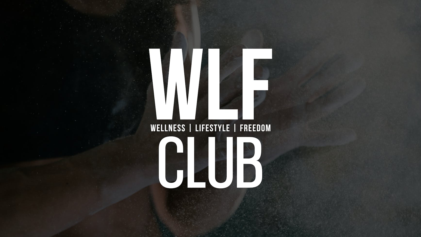 Visual Brand Identity Services