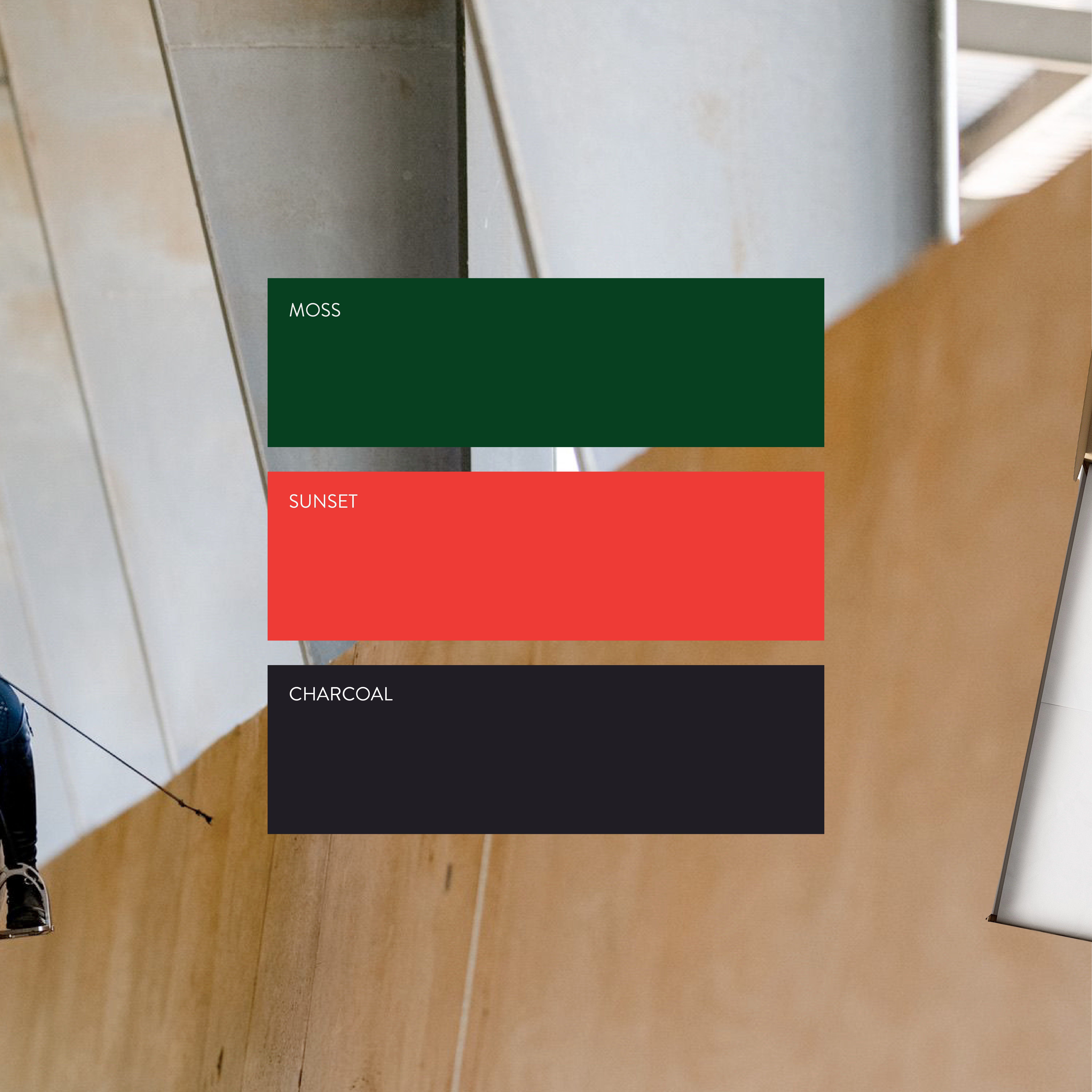 Color Palette Selection | Brand Identity Package