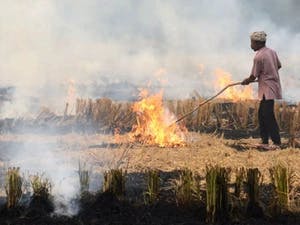 India occupies top spot globally in emissions related to crop burning: report