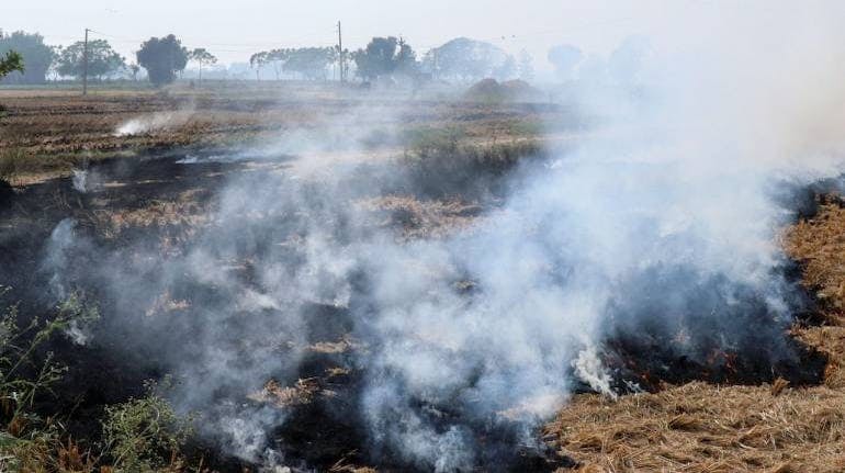 India occupies top spot globally in emissions related to crop burning: report