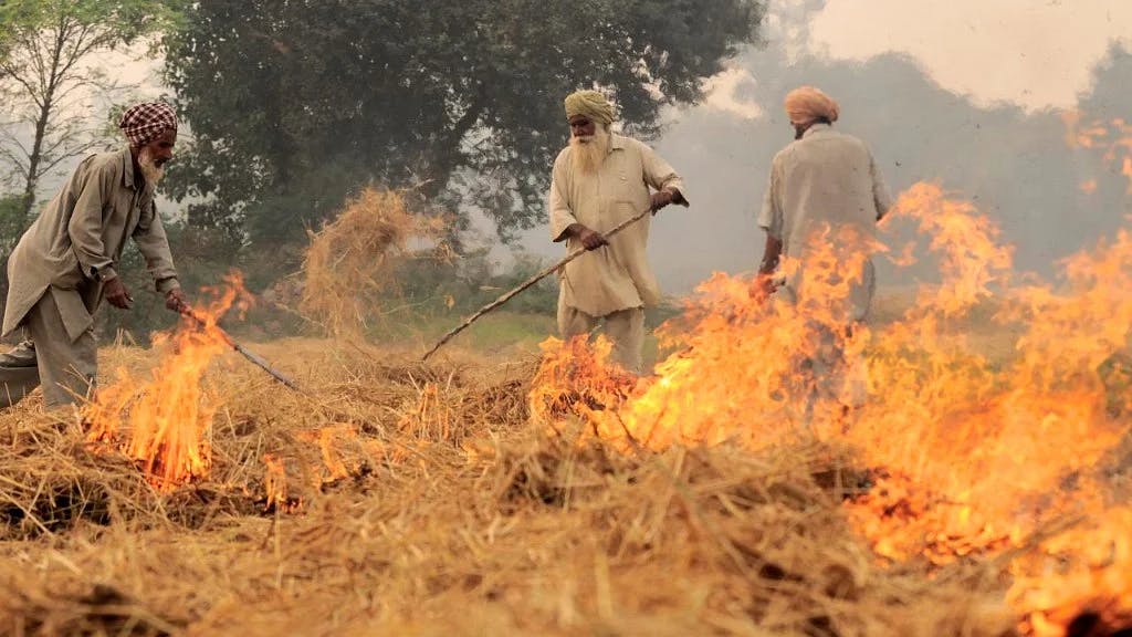 India's crop burning contributes to 12.2% of global GHG emissions: Report