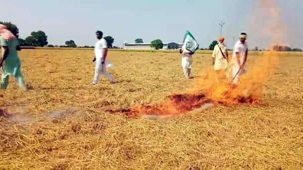 India occupies top spot globally in emissions related to crop burning: report