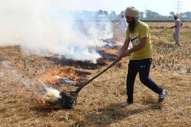 India occupies top spot globally in emissions related to crop burning, says report