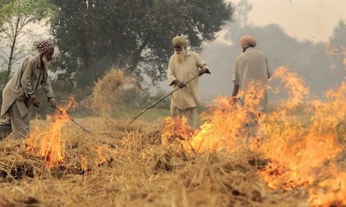 India occupies top spot globally in emissions related to crop burning: report