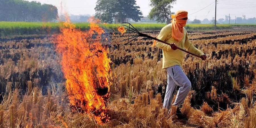 India occupies top spot globally in emissions related to crop burning: report