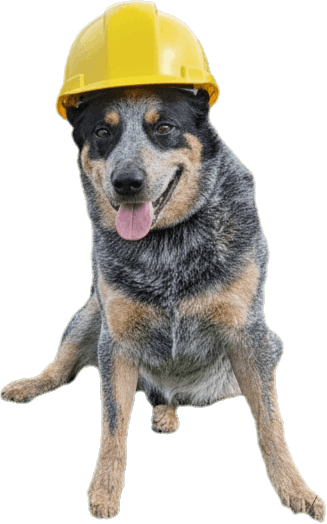 Ernie with a hard hat