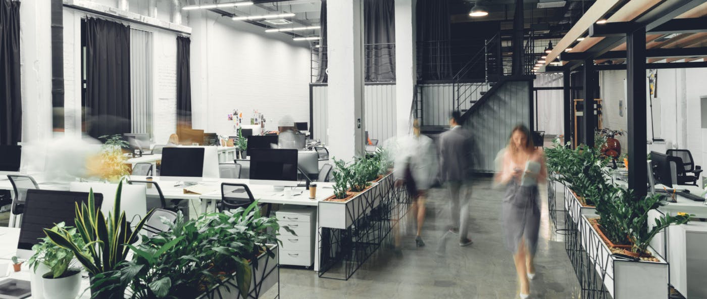 People working in office space